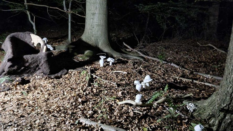 KUNST-stueckchen_2022-Abgebaut-Ich_bin_Pilz_sprach_Pilz-Jutta_Neugebauer