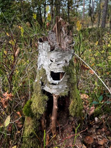 face(th)ings, Baum 07, 2022, Paul Röhlsberger
