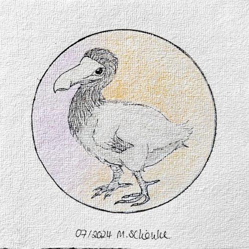 dodo_martina-schoenke_KUNST-stueckchen-2024